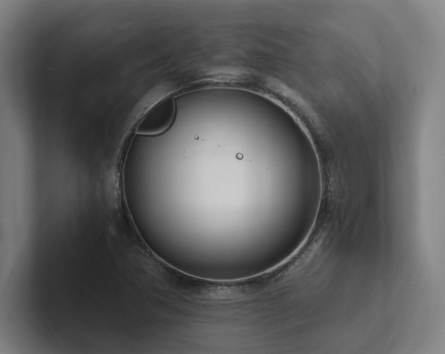 X0000102761362200808181100