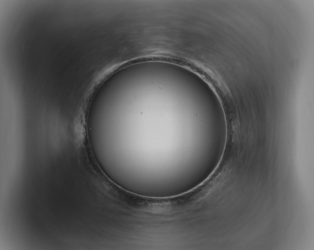X0000102761363200808181100