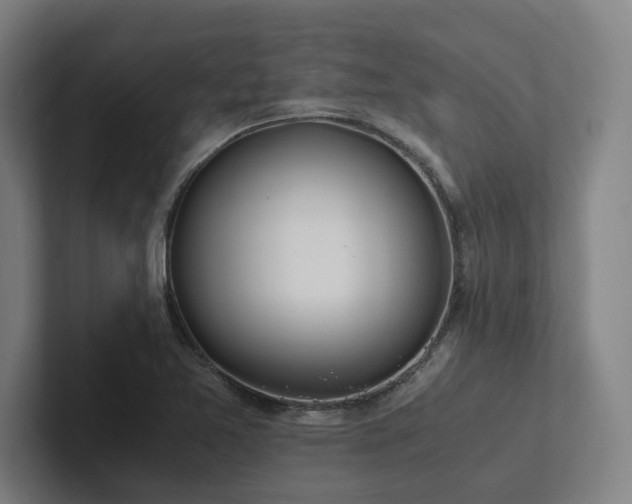 X0000102761365200808181100