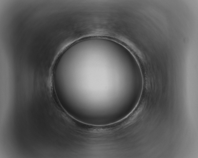X0000102761366200808181100