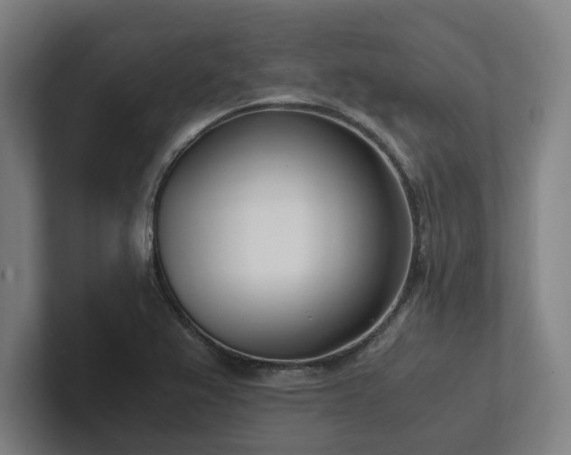 X0000102761367200808181100