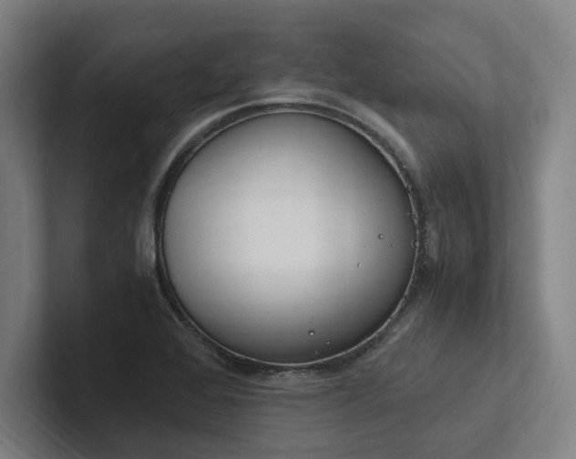 X0000102761368200808181100