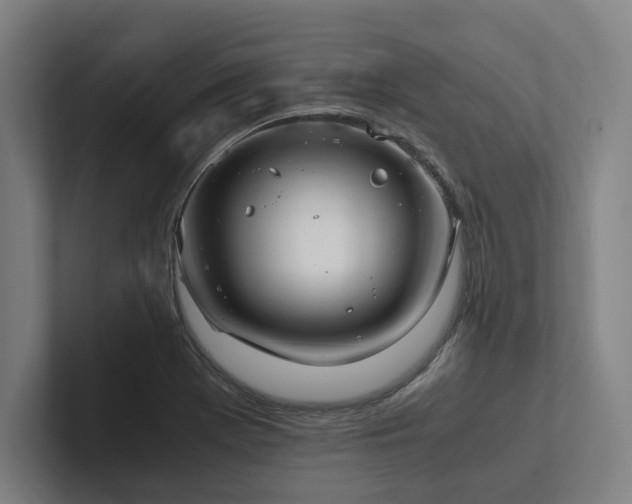 X0000102761369200808181100