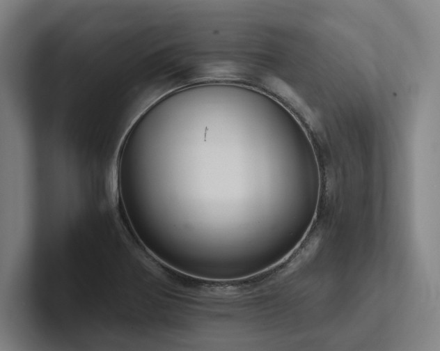 X0000102761370200808181100