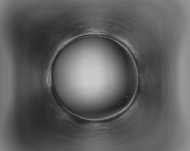 X0000102761371200808181100