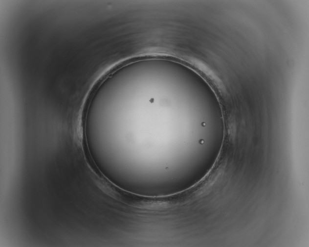 X0000102761372200808181100
