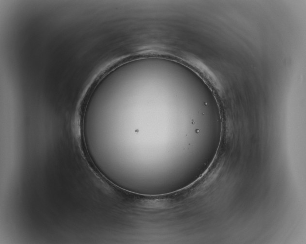 X0000102761376200808181100