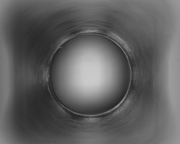 X0000102761377200808181100