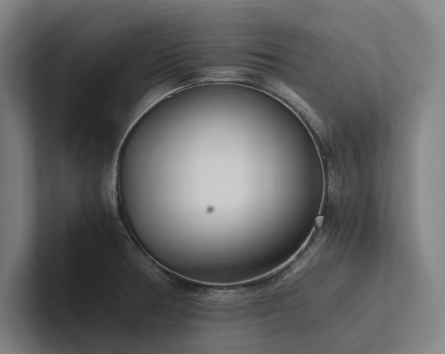 X0000102761378200808181100