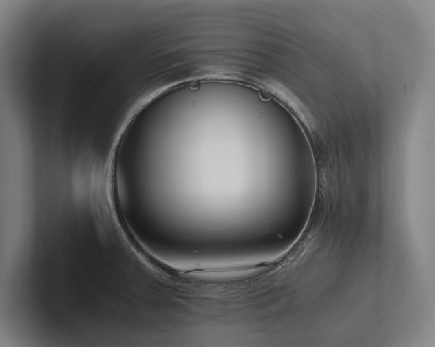 X0000102761379200808181100