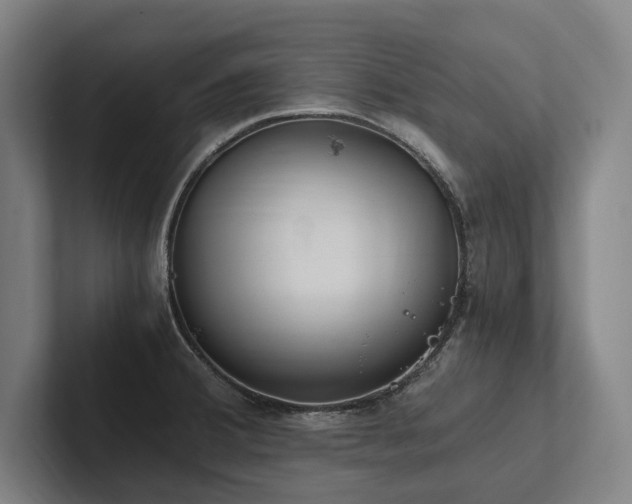 X0000102761380200808181100