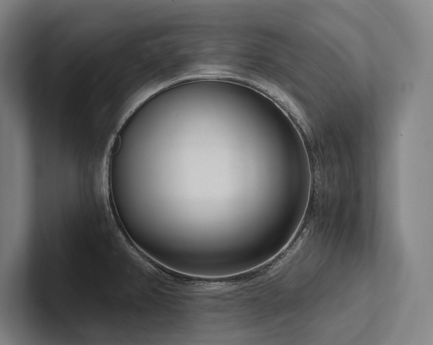 X0000102761382200808181100