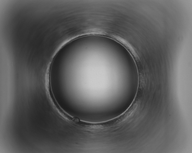 X0000102761383200808181100