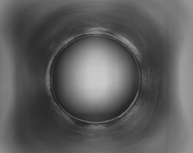 X0000102761384200808181100