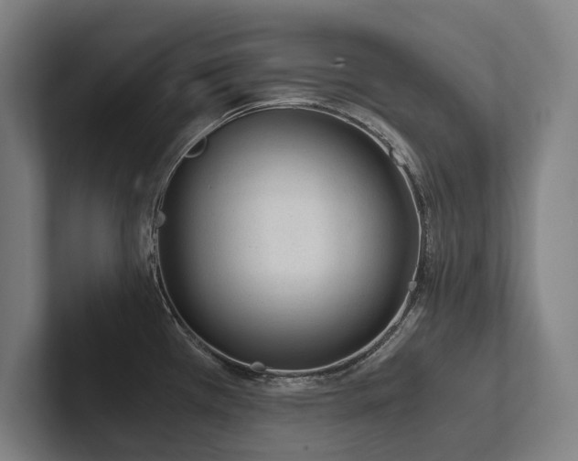 X0000102761385200808181100