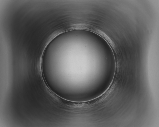 X0000102761386200808181100