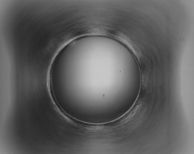 X0000102761387200808181100