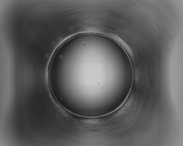 X0000102761388200808181100