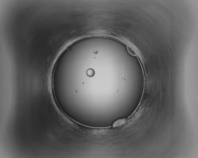 X0000102761389200808181100