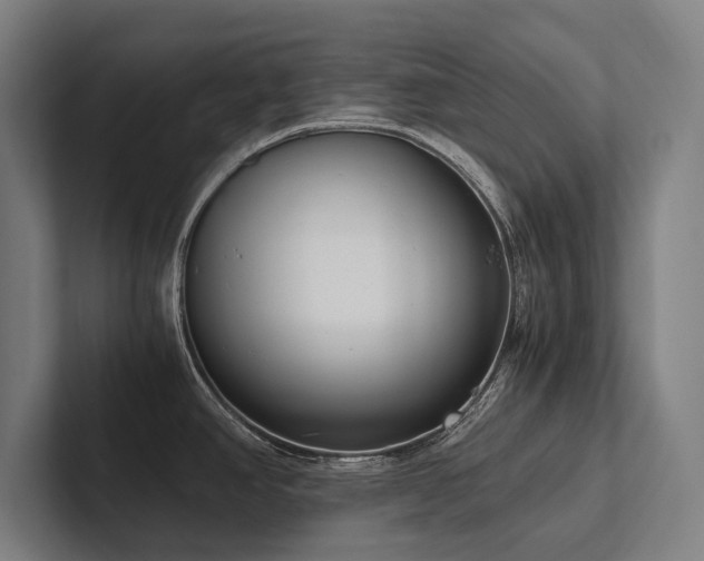 X0000102761390200808181100