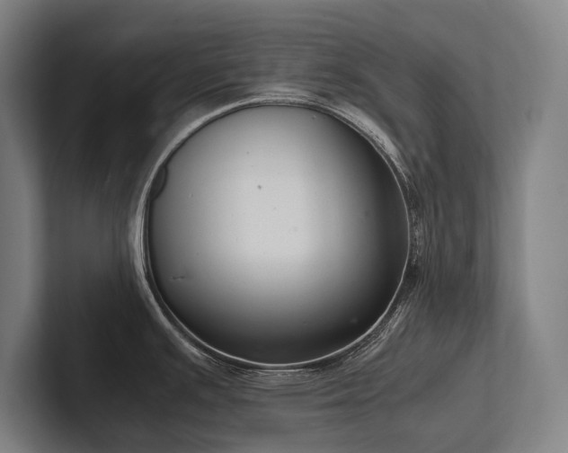 X0000102761391200808181100