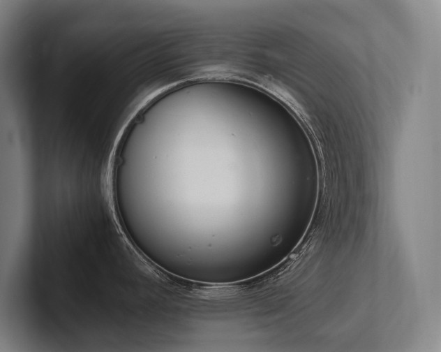 X0000102761392200808181100