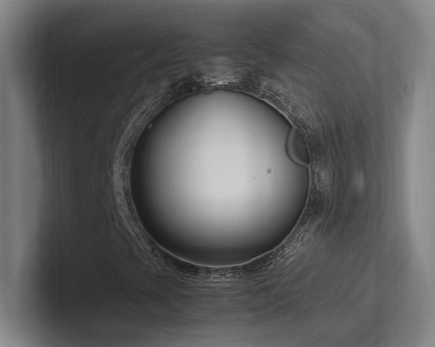 X0000102761393200808181059