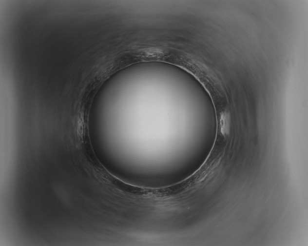 X0000102761395200808181059