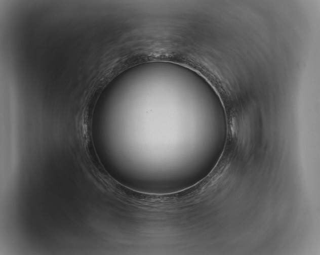 X0000102761396200808181059