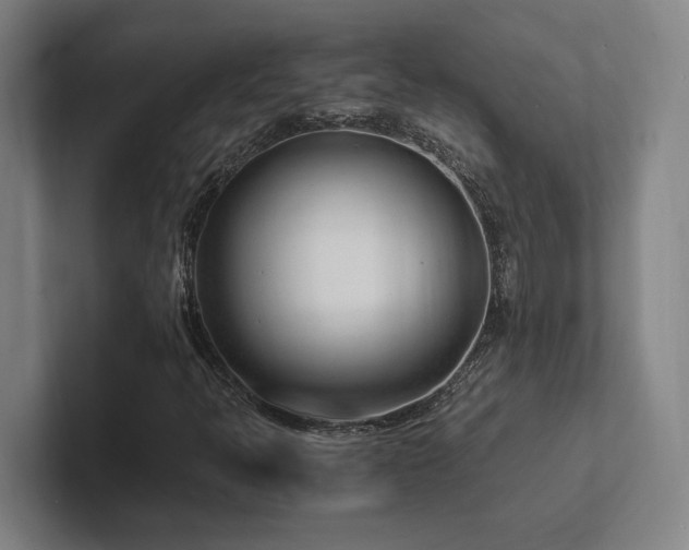 X0000102761397200808181059