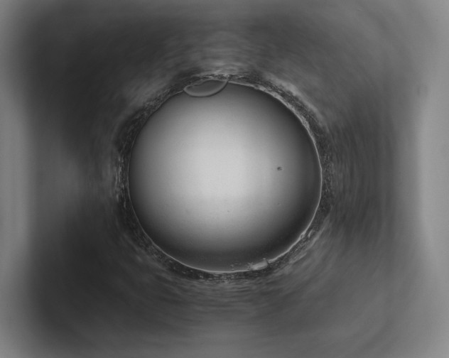 X0000102761399200808181059