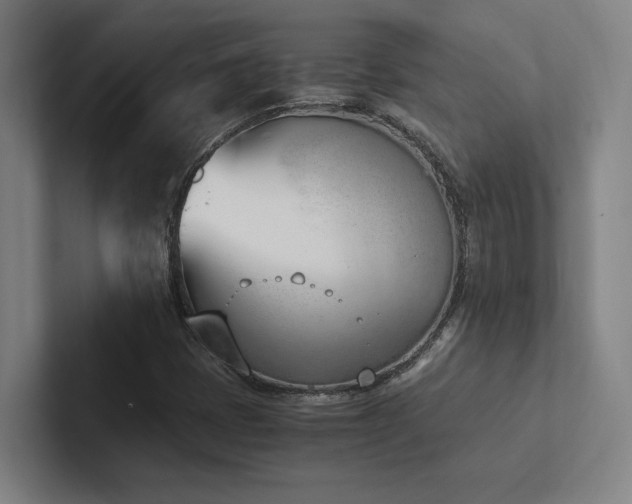 X0000102761401200808181059