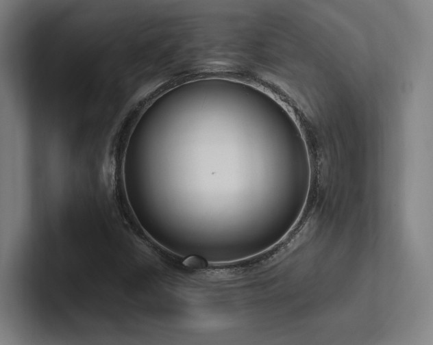 X0000102761402200808181059