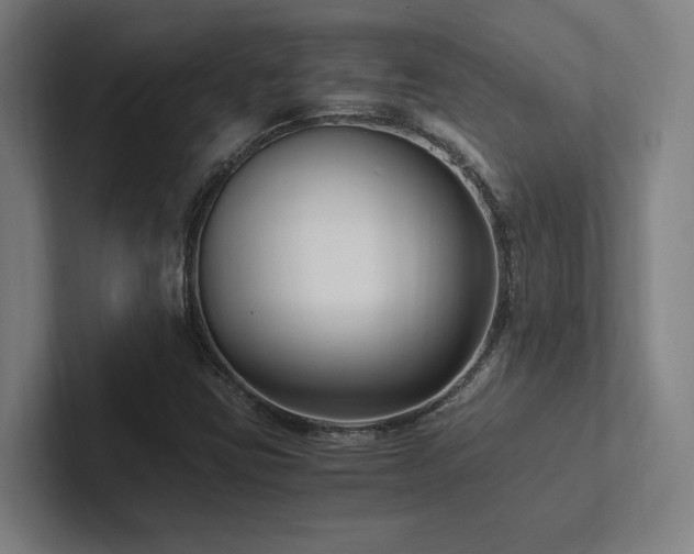 X0000102761403200808181059