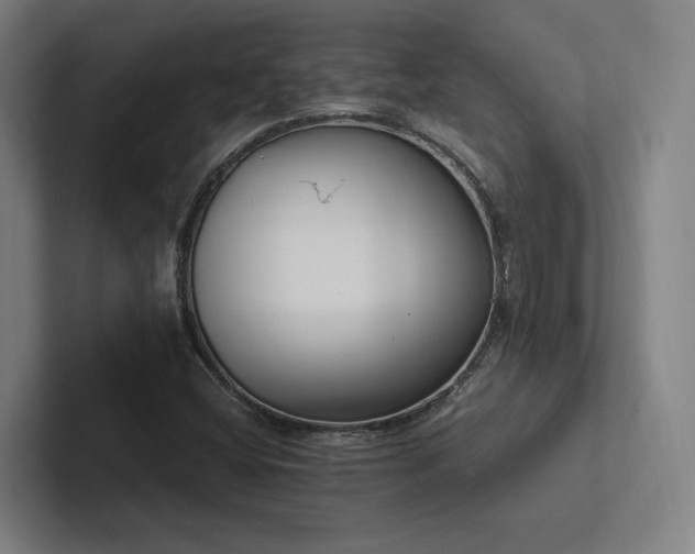 X0000102761404200808181059