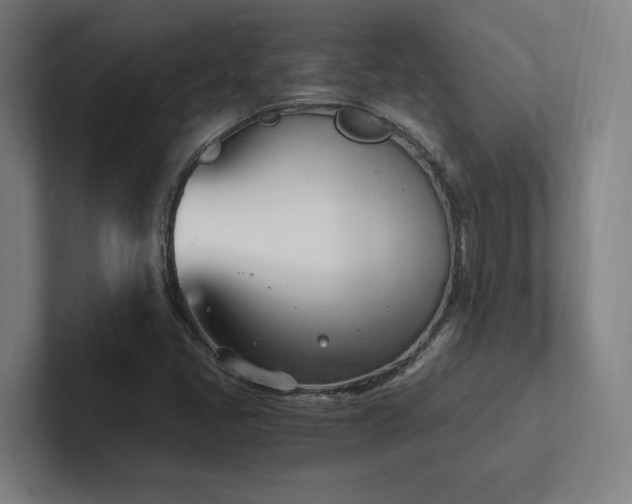 X0000102761405200808181059