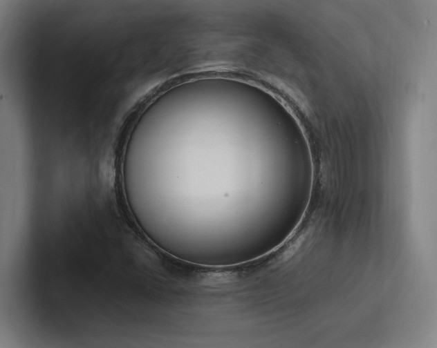 X0000102761406200808181059