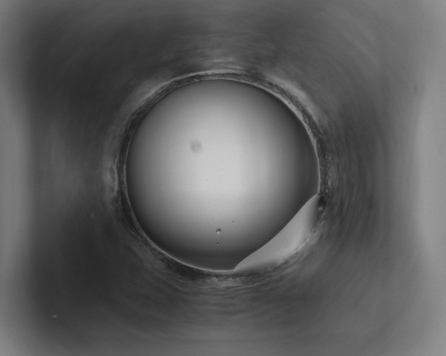 X0000102761407200808181059