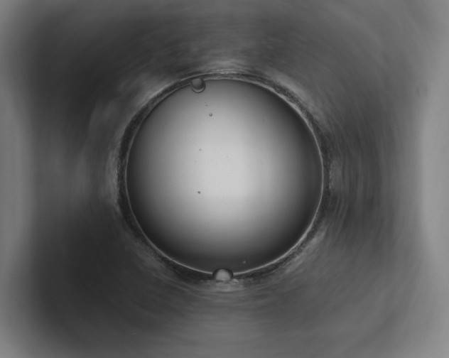 X0000102761410200808181100