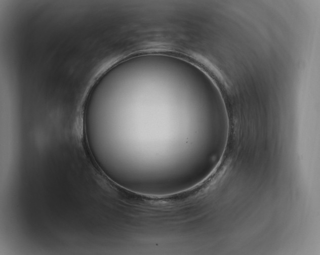 X0000102761413200808181100