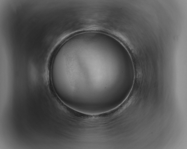 X0000102761414200808181100