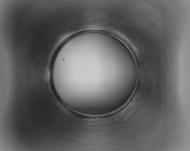 X0000102761416200808181100