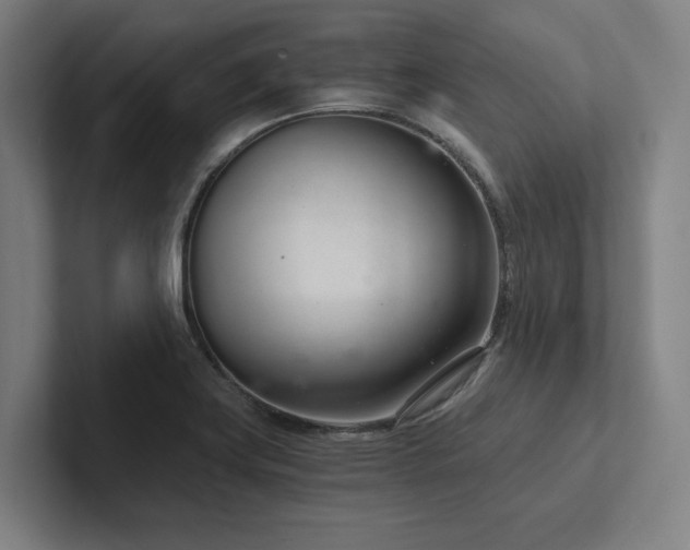 X0000102761419200808181100