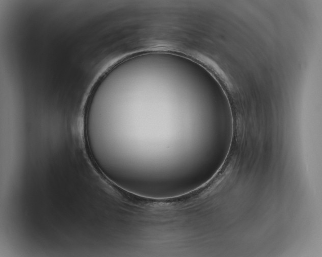 X0000102761424200808181100