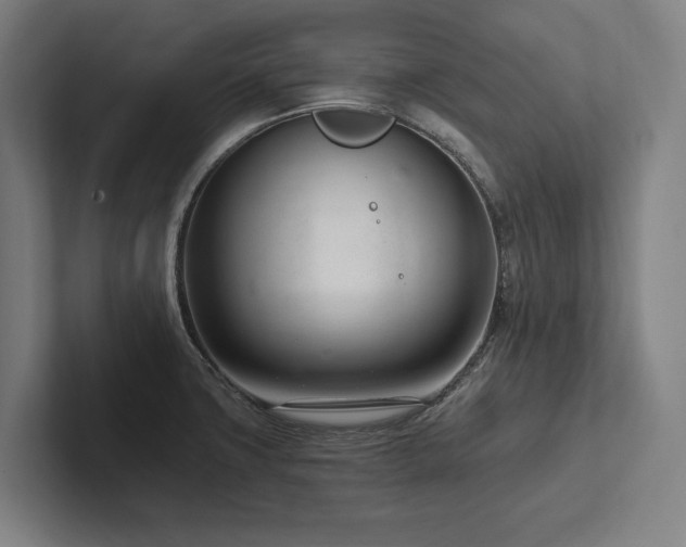 X0000102761427200808181100