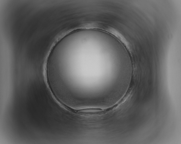 X0000102761429200808181100