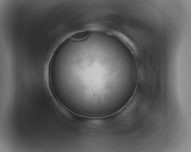 X0000102761431200808181100