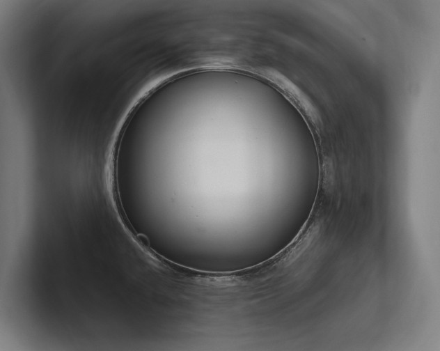 X0000102761432200808181100