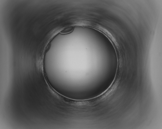 X0000102761433200808181100