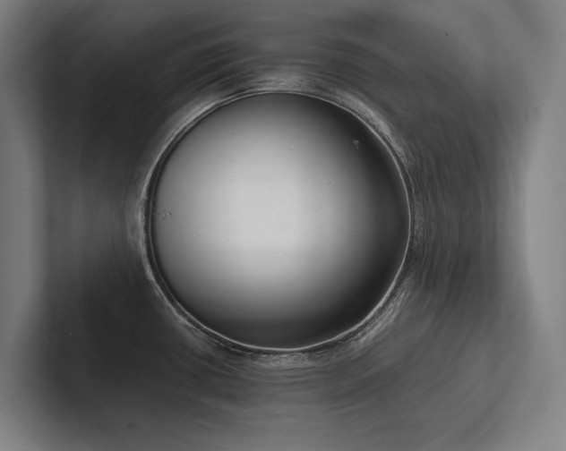 X0000102761434200808181100